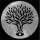 The Dreaming Tree header logo